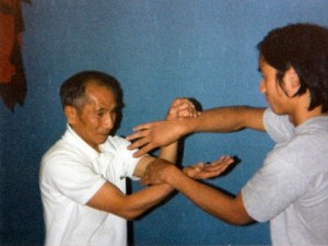 Sifu and Ip Chun 19-05-2010 12-44-47